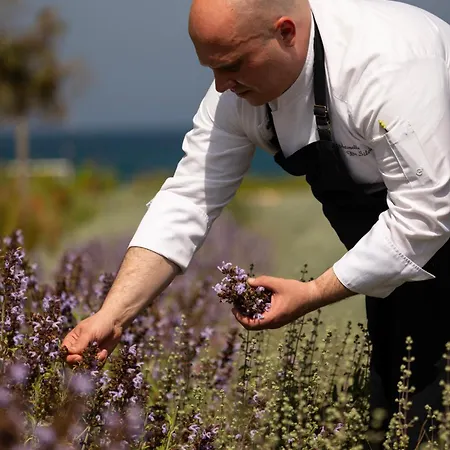 Hotel Metamare Cozze