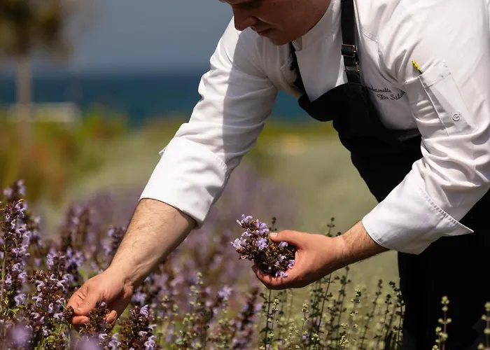 Hotel Metamare Cozze